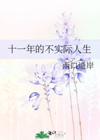 十一年的不实际人生