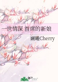 一世情深 首席的新娘