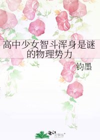 高中少女智鬥渾身是謎的物理勢力
