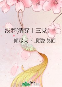 浅梦(清穿十三党)
