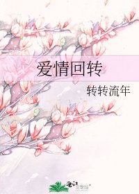 皑情回转