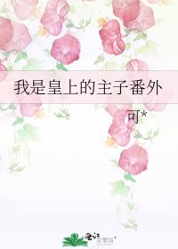 我是皇上的主子番外