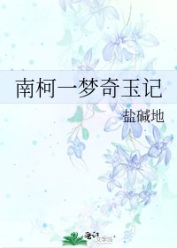 南柯一梦奇玉记