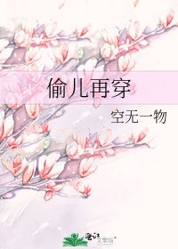 偷兒再穿