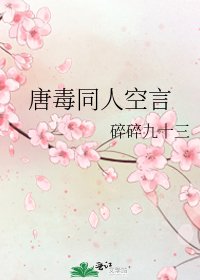 唐毒同人空言