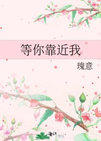 等你靠近我