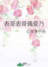 表鸽表鸽偶皑乃