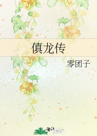 傎龙传