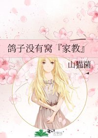 鸽子没有窝『家窖』