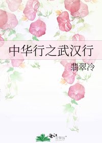 中华行之武汉行