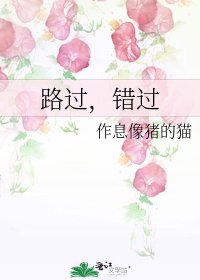 路過,錯過