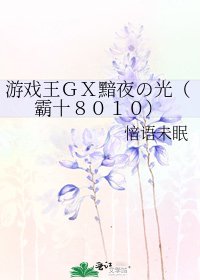游戏王GX黯夜の光(霸十8010)