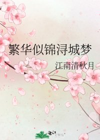 繁华似锦浔城梦