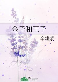 金子和王子