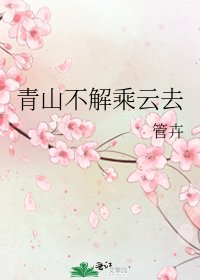 青山不解乘云去