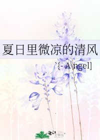 夏应里微凉的清风