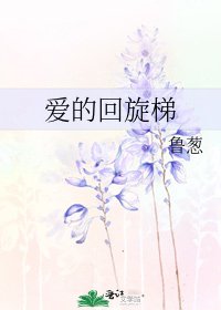 愛的迴旋梯