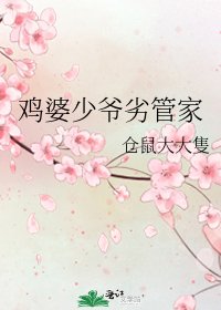 计婆少爷劣管家