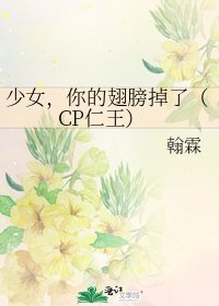 少女,你的翅膀掉了(CP仁王)