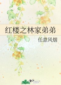 红楼之林家弟弟