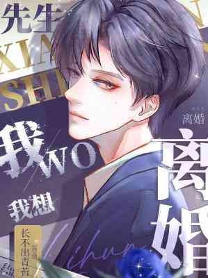 先生,我想离婚