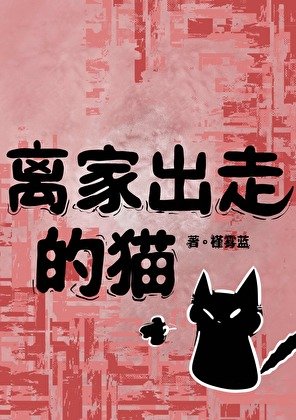 离家出走的猫