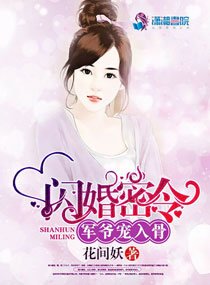 新婚旧爱:Hello小娇妻/闪婚密令:军爷宠入骨