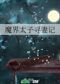 魔界太子寻妻记