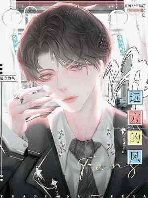 远方的风