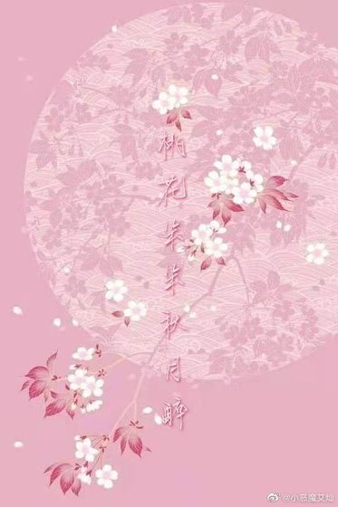 桃花朵朵秋月醉