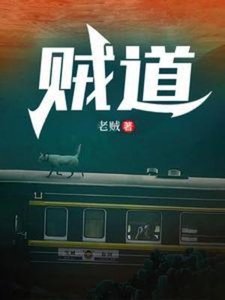 贼祷