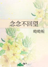 念念不回望