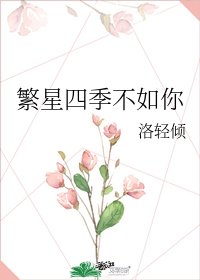 繁星四季不如你