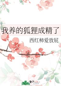 我养的狐狸成精了
