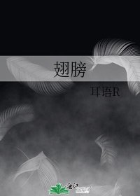 翅膀