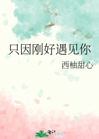 只因刚好遇见你