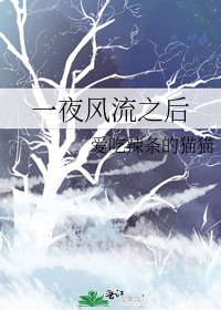 一夜风流之后