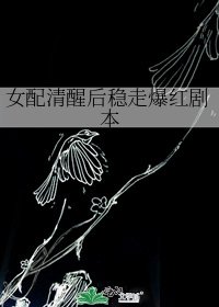 女配清醒后稳走爆红剧本