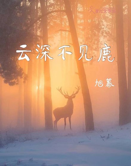 雲深不見鹿