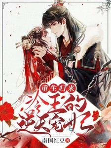 重生归来:冷王的逆天宠妃