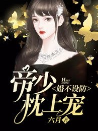 婚不設防:帝少枕上寵