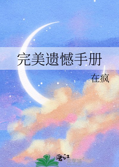 完美遗憾手册