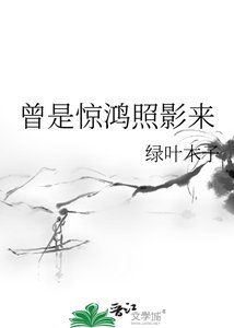 曾是驚鴻照影來