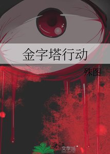 金字塔行懂