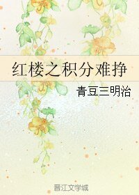 (BG/红楼同人)红楼之积分难挣